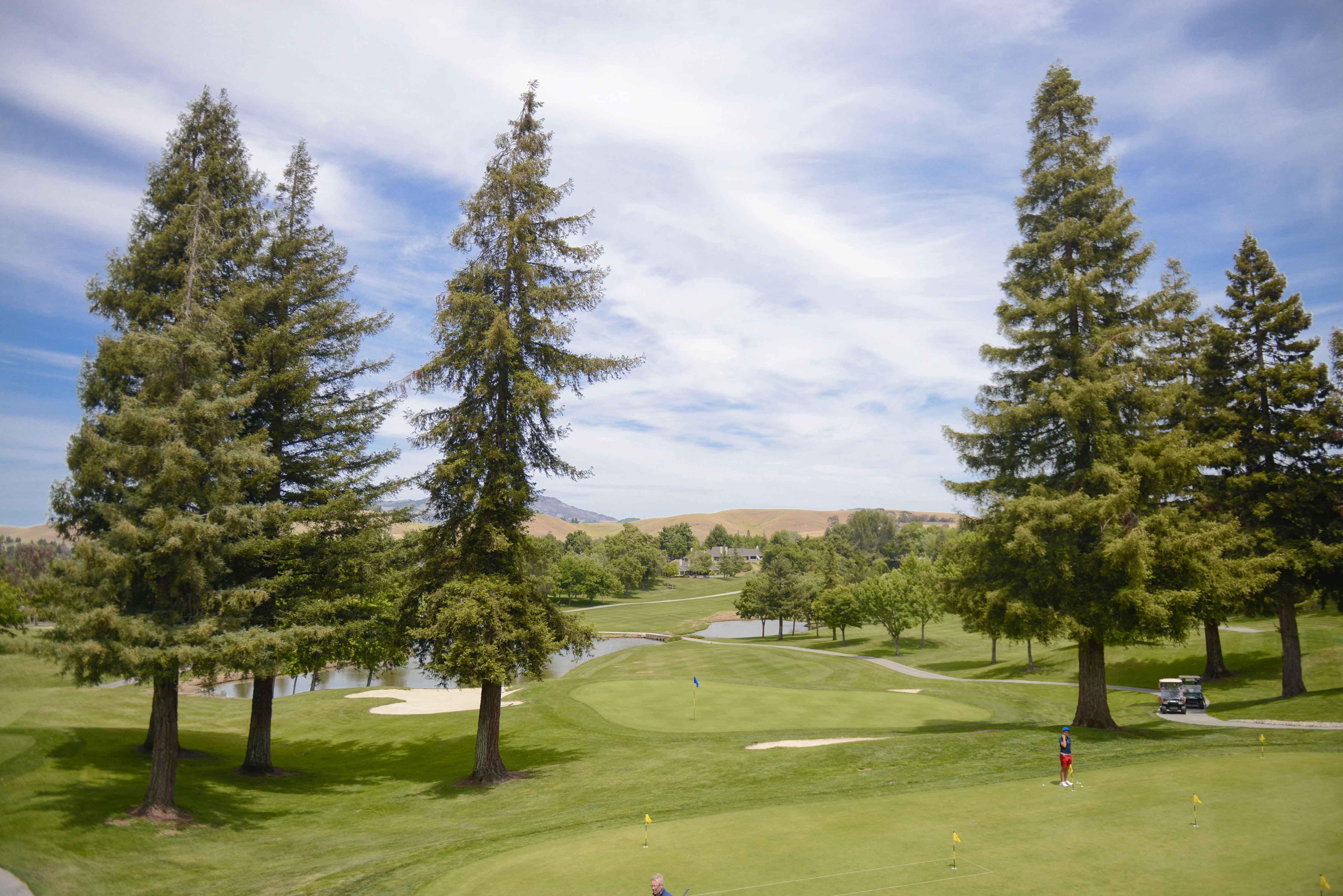 Bar Mitzvah - Jesse Beth Chaim Congregation, Danville, CA and Crow Canyon Country Club, Danville, CA 34