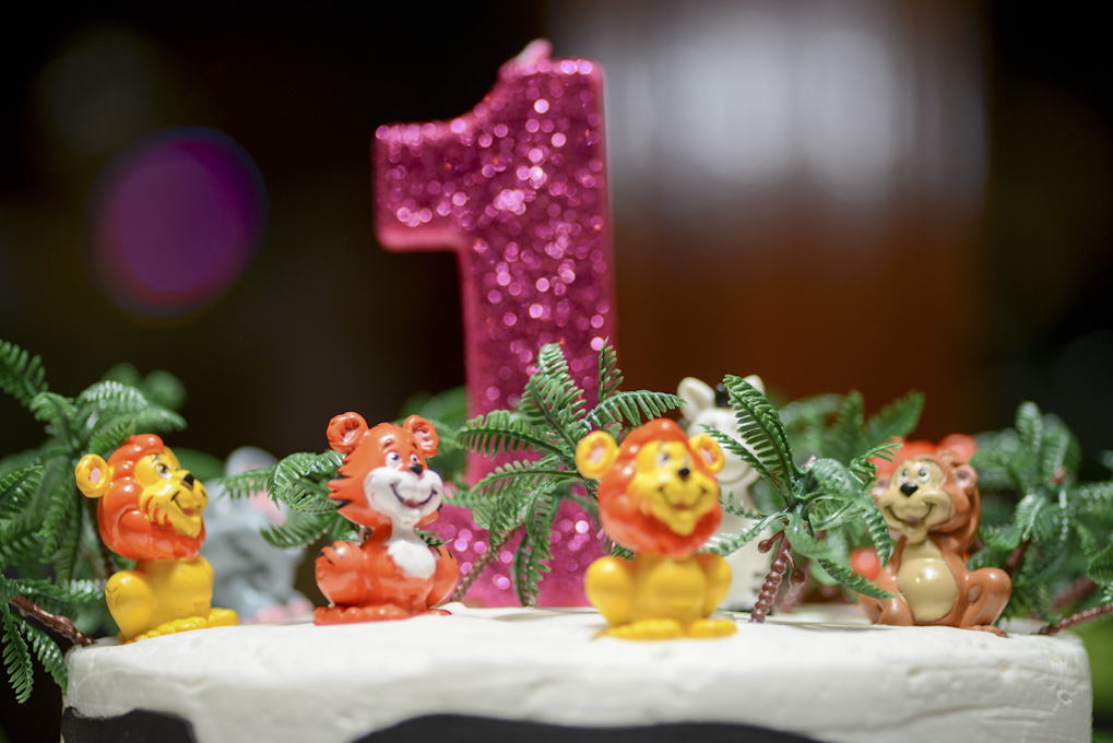 Birthday - Sanvi  13