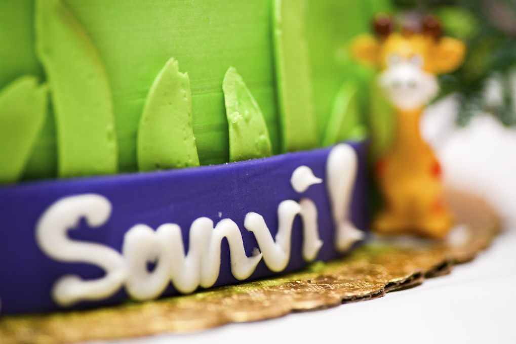 Birthday - Sanvi  14
