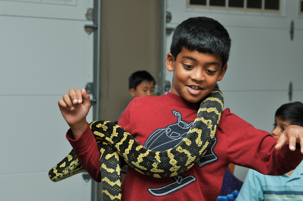 Birthday - Sohan  27