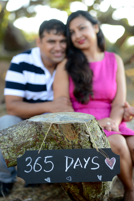Engagement - Himanshu and Richa Painted Ladies, Baker's Beach, San Francisco, CA 12