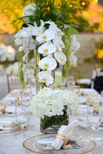 Wedding - Arash and Shohreh Wilder Quarry House, Orinda, CA 13