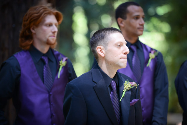Wedding - Daniel and Diana Family Farm, Woodside, CA 12