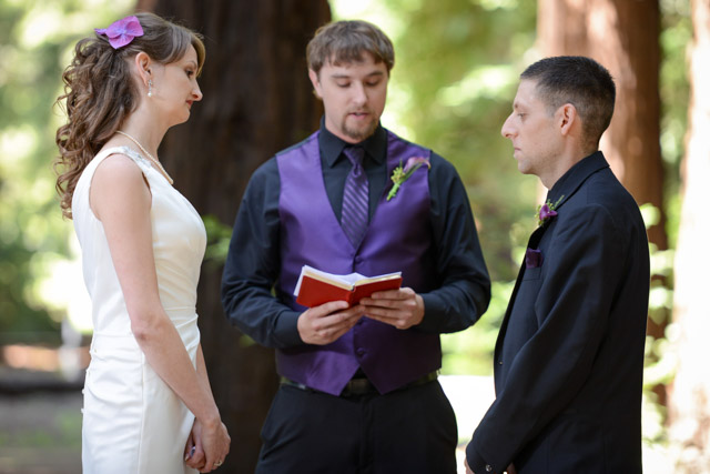 Wedding - Daniel and Diana Family Farm, Woodside, CA 15