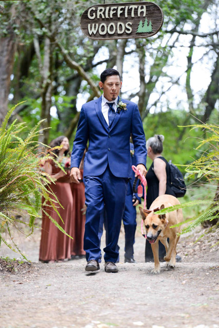 Wedding - Jaime and Paige Griffith Woods, Santa Rosa, CA 17