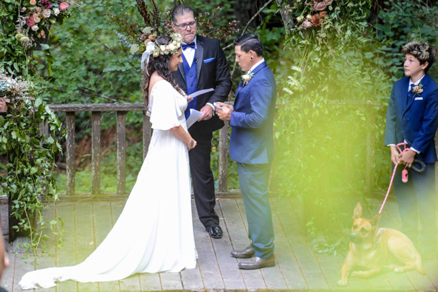 Wedding - Jaime and Paige Griffith Woods, Santa Rosa, CA 33