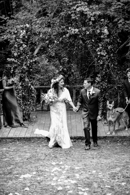 Wedding - Jaime and Paige Griffith Woods, Santa Rosa, CA 40
