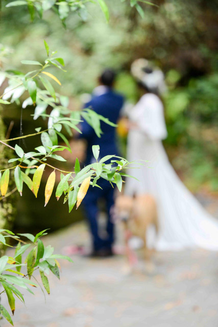 Wedding - Jaime and Paige Griffith Woods, Santa Rosa, CA 43