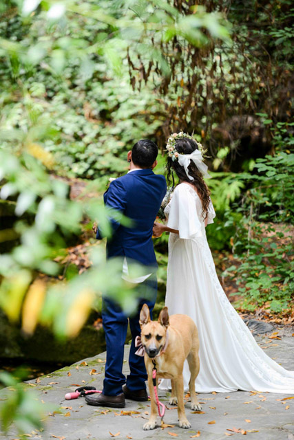 Wedding - Jaime and Paige Griffith Woods, Santa Rosa, CA 44