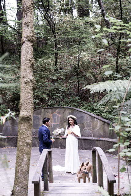 Wedding - Jaime and Paige Griffith Woods, Santa Rosa, CA 46