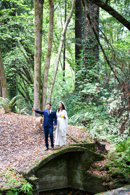 Wedding - Jaime and Paige Griffith Woods, Santa Rosa, CA 48