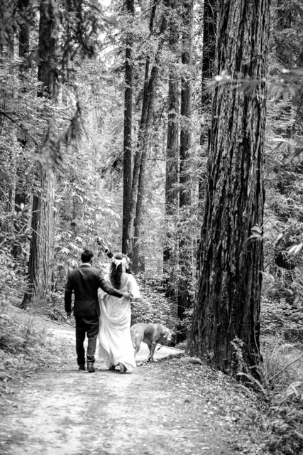 Wedding - Jaime and Paige Griffith Woods, Santa Rosa, CA 65