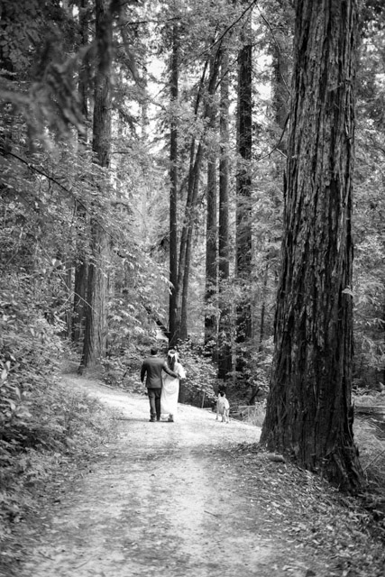 Wedding - Jaime and Paige Griffith Woods, Santa Rosa, CA 66
