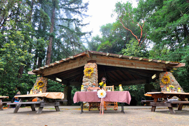 Wedding - Lonnie and Cynthia Mt Madonna County Park, Watsonville, CA 0