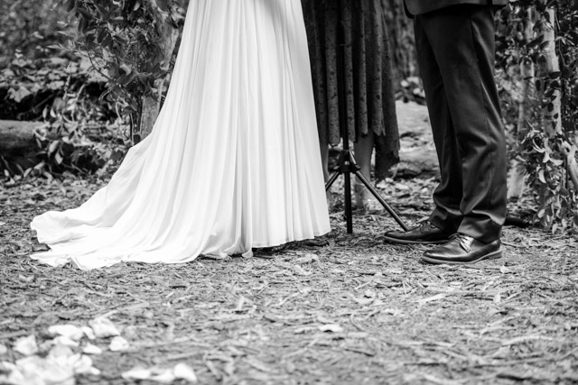 Wedding - Pete and Andrea Trocadero Clubhouse, San Francisco, CA 38